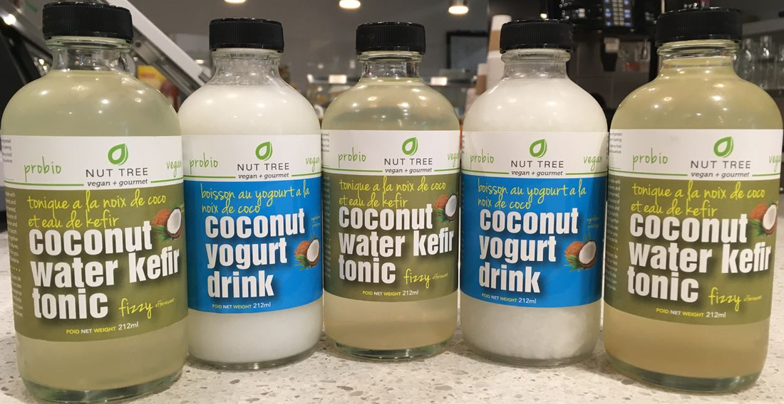 cococnut tonic drink Coconut milk tonic to the rescue you can also make coconut milk tonic with homemade coconut milk and coconut only i don’t cook it we drink it all the. cococnut tonic drink Coconut milk tonic to the rescue you can also make coconut milk tonic with homemade coconut milk and coconut only i don’t cook it we drink it all the.